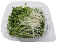 Microgreens-Broccoli