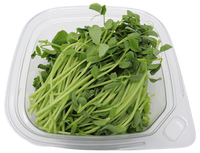 Microgreens- Pea