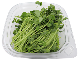 Microgreens- Pea