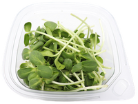 Microgreens-Sunflower