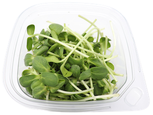 Microgreens-Sunflower