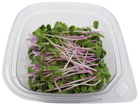 Microgreens-crunchy mix