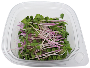 Microgreens-crunchy mix