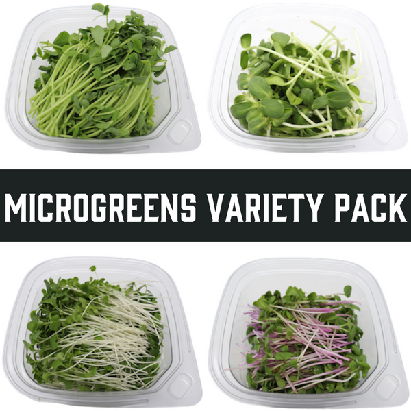 MICROGREENS-variety pack